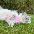 Load image into Gallery viewer, Cat wearing Pink Daisy Harness