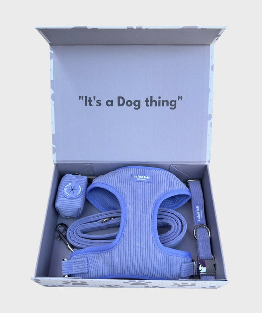 Lavender Corduroy Dog Bundle