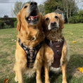 Load image into Gallery viewer, Lola&Toff Dog Harness Styles