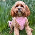 Load image into Gallery viewer, Lola&Toff Pink Daisy Harness