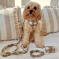 Load image into Gallery viewer, Matching Latte Luxe Tweed Dog Harness set