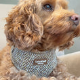 Load image into Gallery viewer, Oatmeal Tweed Effect Puppy & Tiny Dog Harness