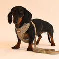 Load image into Gallery viewer, Oatmeal Tweed Effect Dog Lead