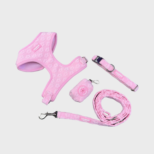 Pink Daisy Dog Bundle
