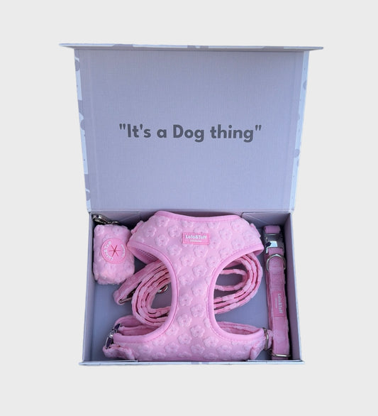 Pink Daisy Dog Bundle