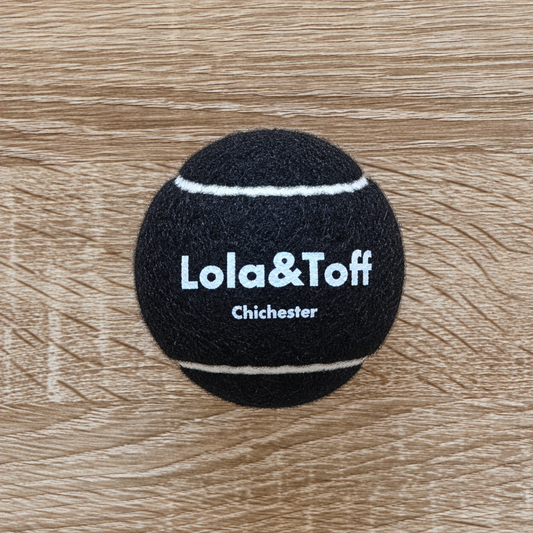 Black Playtime Dog Ball