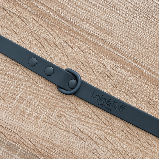 Charcoal All Weather Waterproof Lead