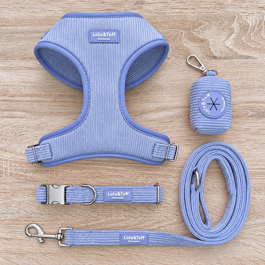 Lavender Corduroy Dog Bundle