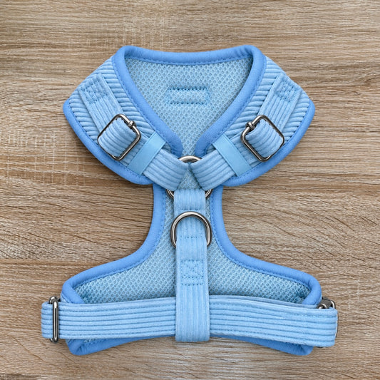 Baby Blue Corduroy Adjustable Dog Harness