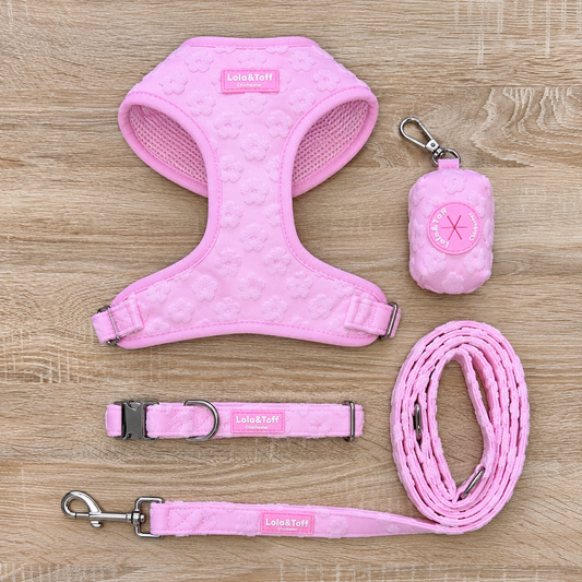 Pink Daisy Dog Bundle