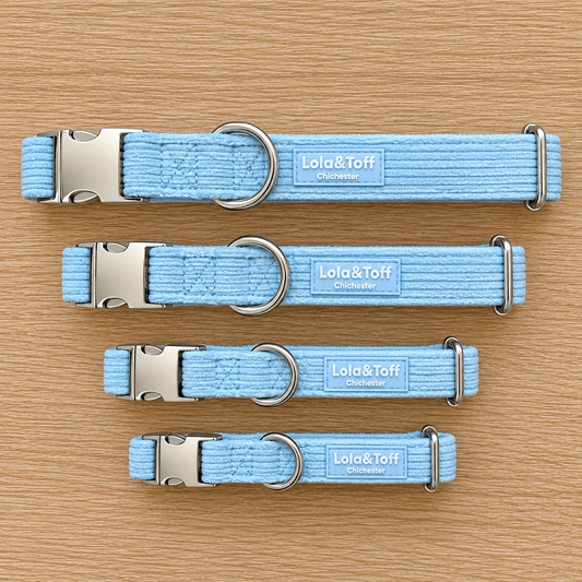 Baby Blue Corduroy Adjustable Dog Collar
