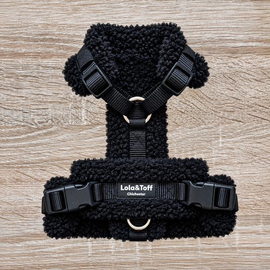 Black Dachshund Anti-Rub Teddy Harness