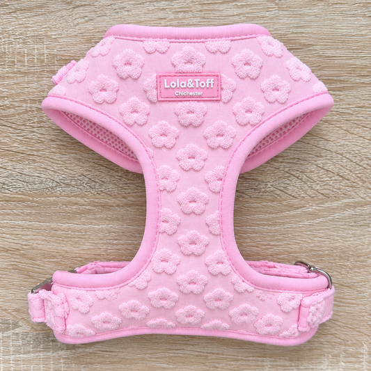 Pink Daisy Adjustable Dog Harness