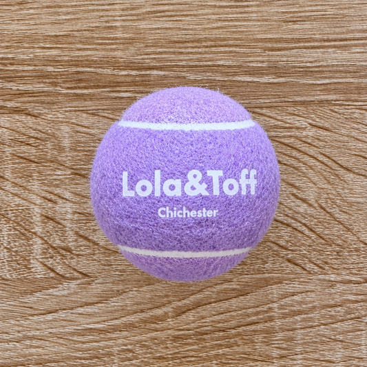 Lilac Playtime Dog Ball