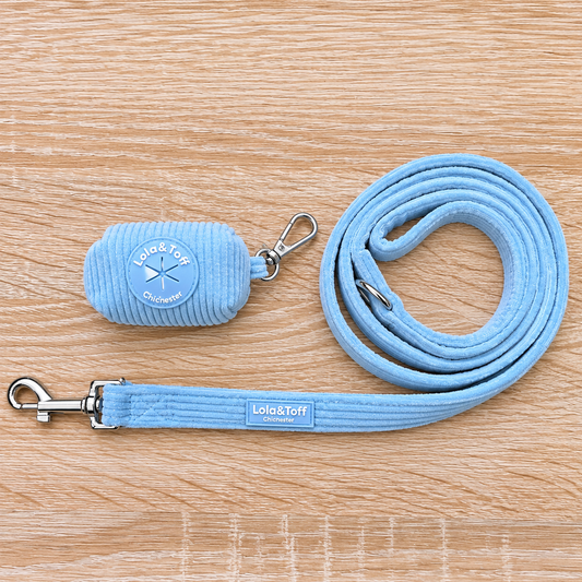 Baby Blue Corduroy Dog Lead