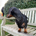 Load image into Gallery viewer, Anti-rub dachshund harness in black by Lola&Toff

