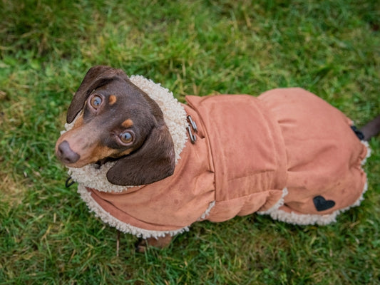 Beige Wraparound Coat