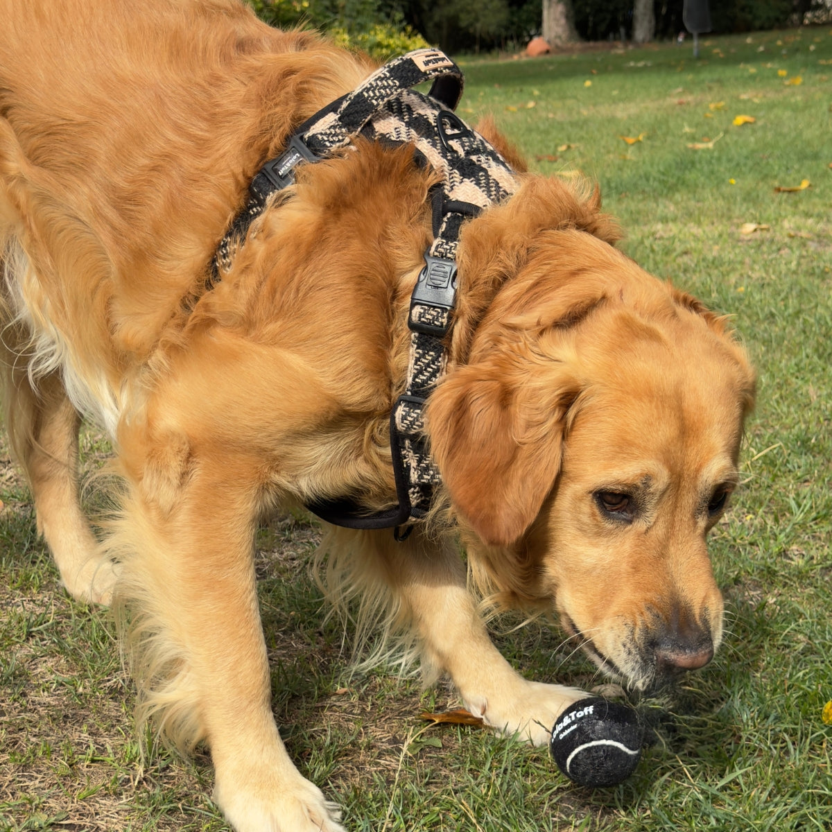 Black and Tan Lola&Toff Dog Harness with handle