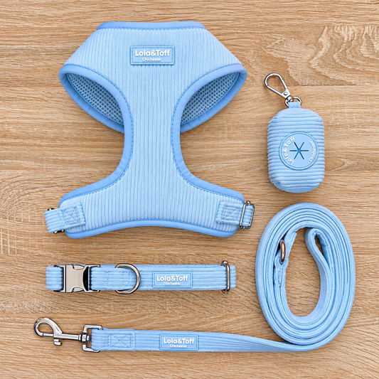 Baby Blue Corduroy Bundle