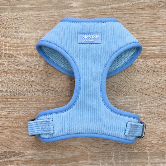 Baby Blue Corduroy Adjustable Dog Harness
