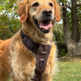Load image into Gallery viewer, Chocolate Tweed Dog Harness with handle
