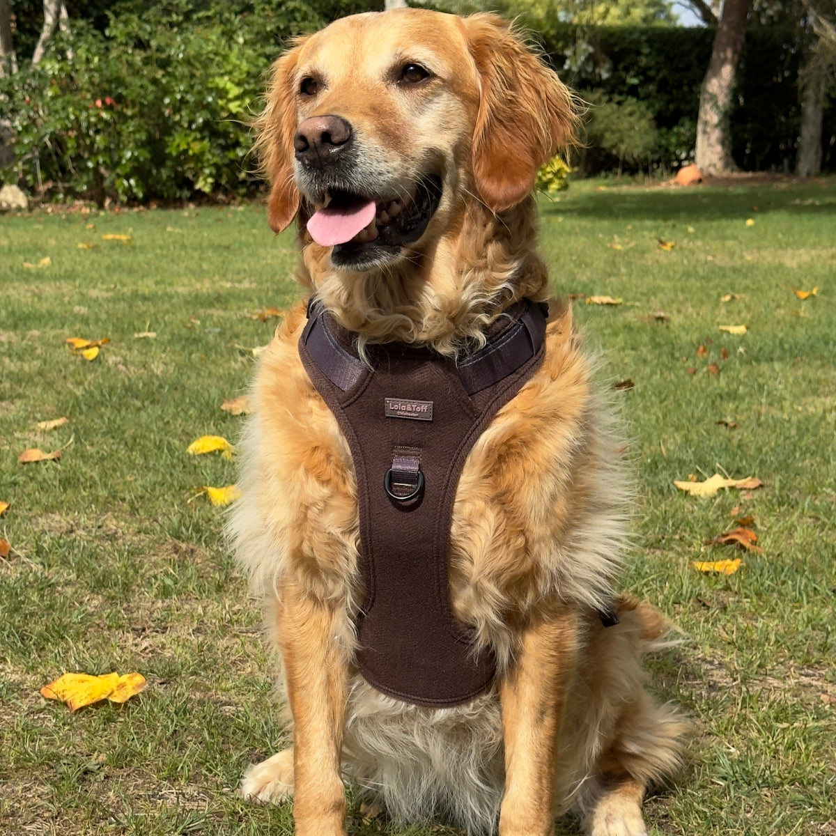 Chocolate Tweed Large Dog Harness with Handle