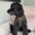 Load image into Gallery viewer, Goodwood Green Harness
