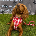 Load image into Gallery viewer, Poppy Luxe Tweed Dog Harness
