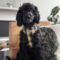Load image into Gallery viewer, Black and Tan Tweed Harness
