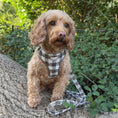 Load image into Gallery viewer, Pebbles Tweed - Dog Harness
