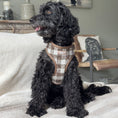 Load image into Gallery viewer, Pebbles Tweed - Dog Harness
