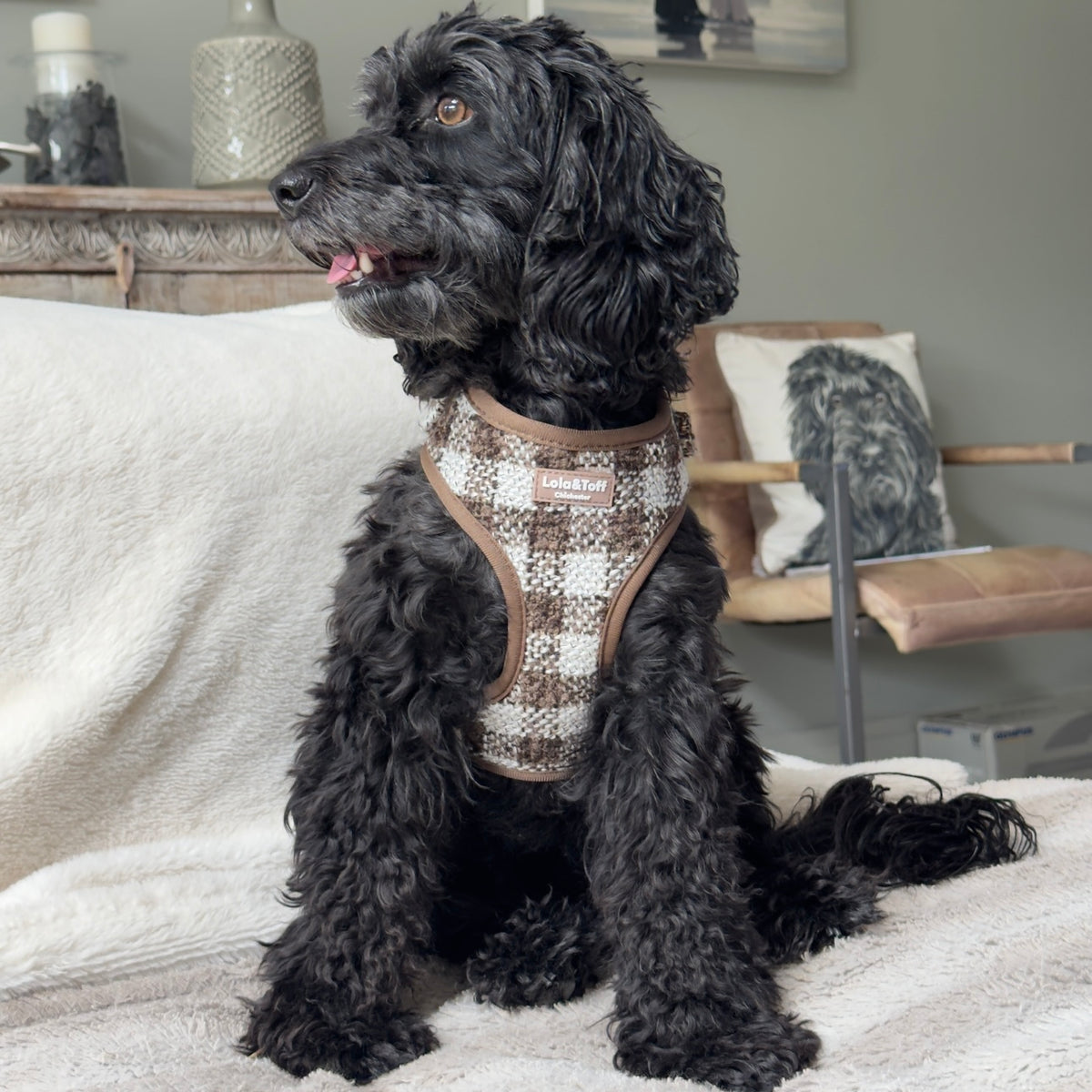 Pebbles Tweed - Dog Harness