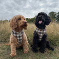Load image into Gallery viewer, Pebbles Tweed - Dog Harness
