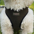 Load image into Gallery viewer, Lola&Toff Goodwood Green Tweed Dog Harness
