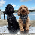 Load image into Gallery viewer, Lola and Toffee matching in their Lottie Luxe Dog Harnesses
