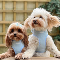 Load image into Gallery viewer, Matching in the Lola&Toff Dog Harness
