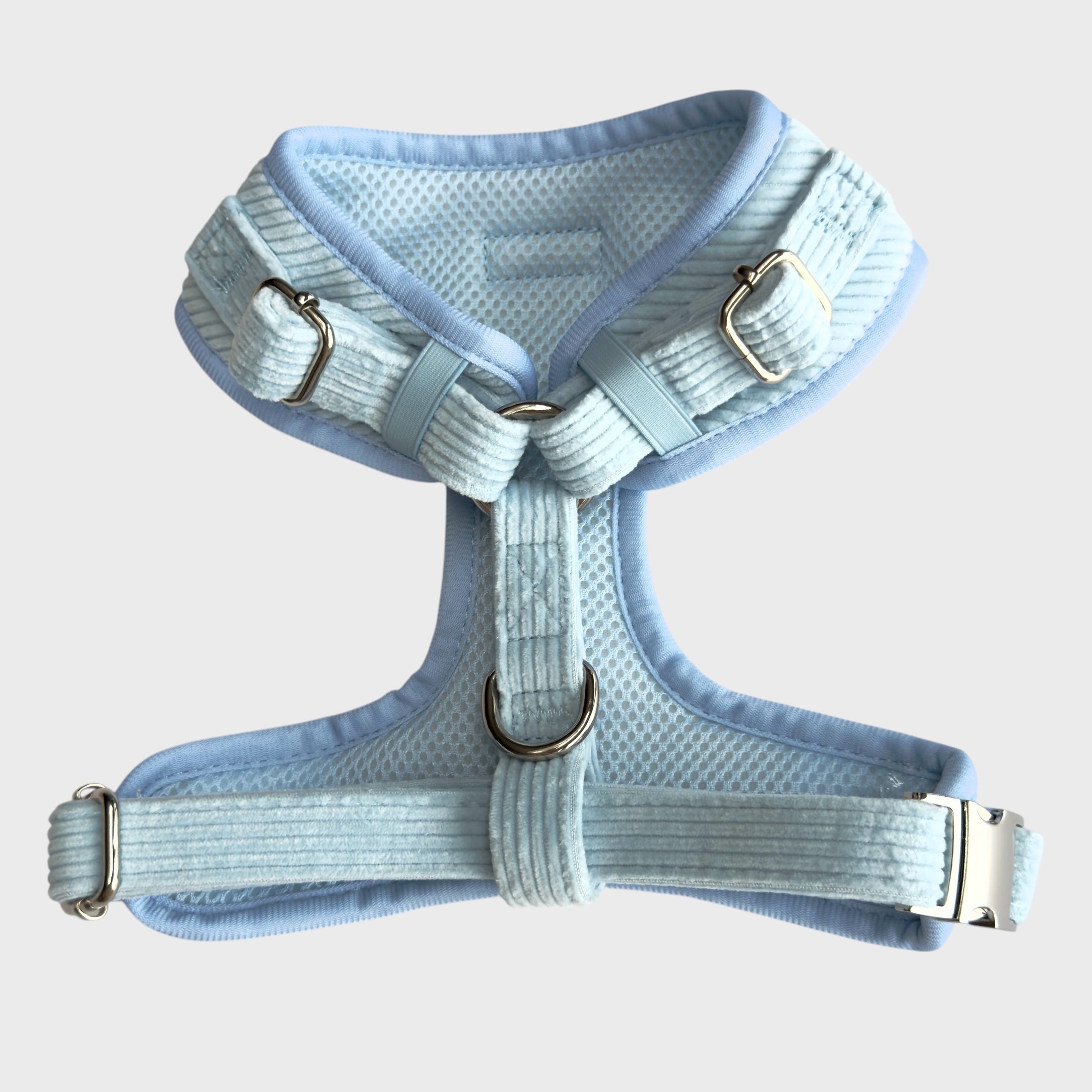 Baby Blue Corduroy – Adjustable Dog Harness