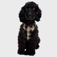 Load image into Gallery viewer, Black & Tan Tweed - adjustable dog harness
