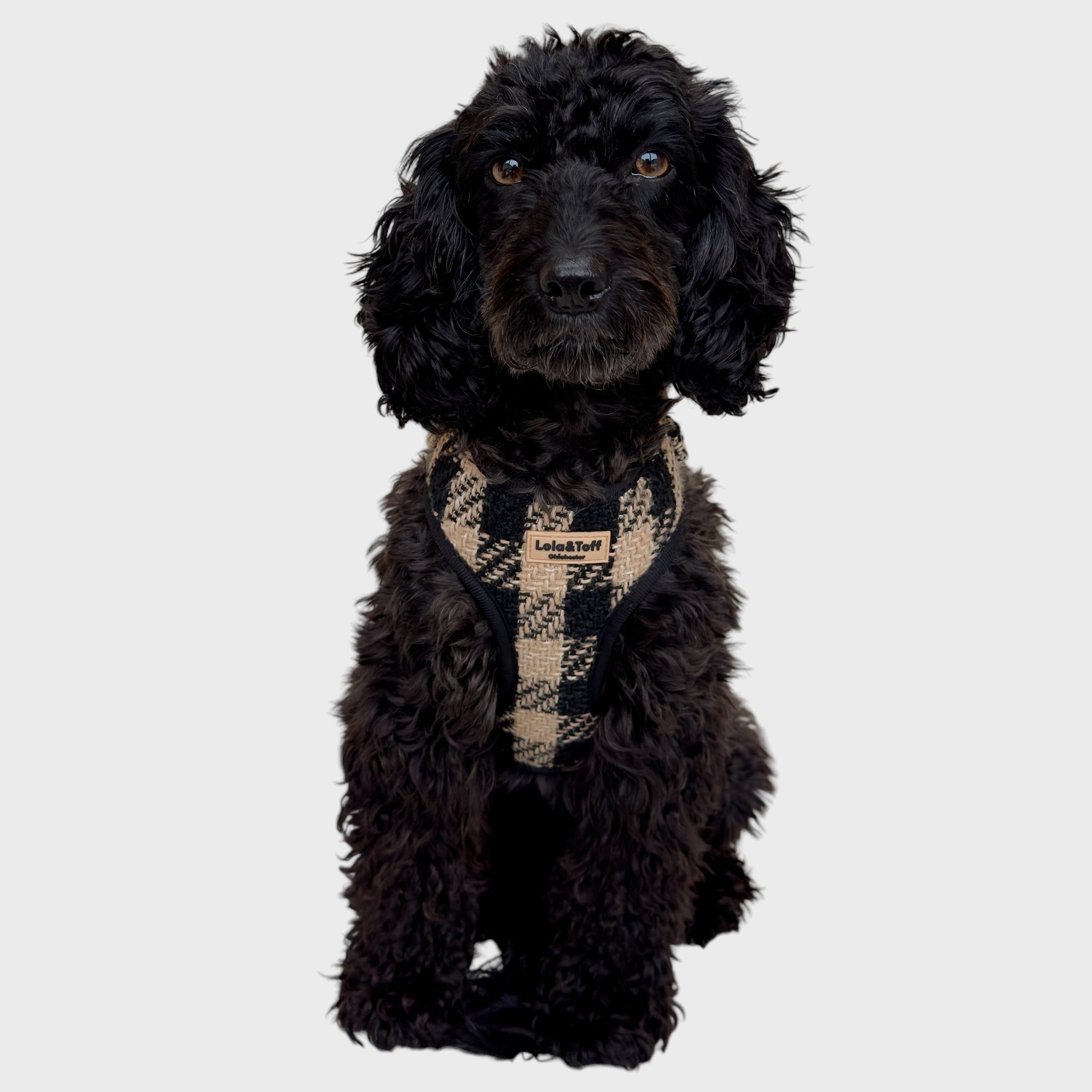 Black & Tan Tweed - adjustable dog harness