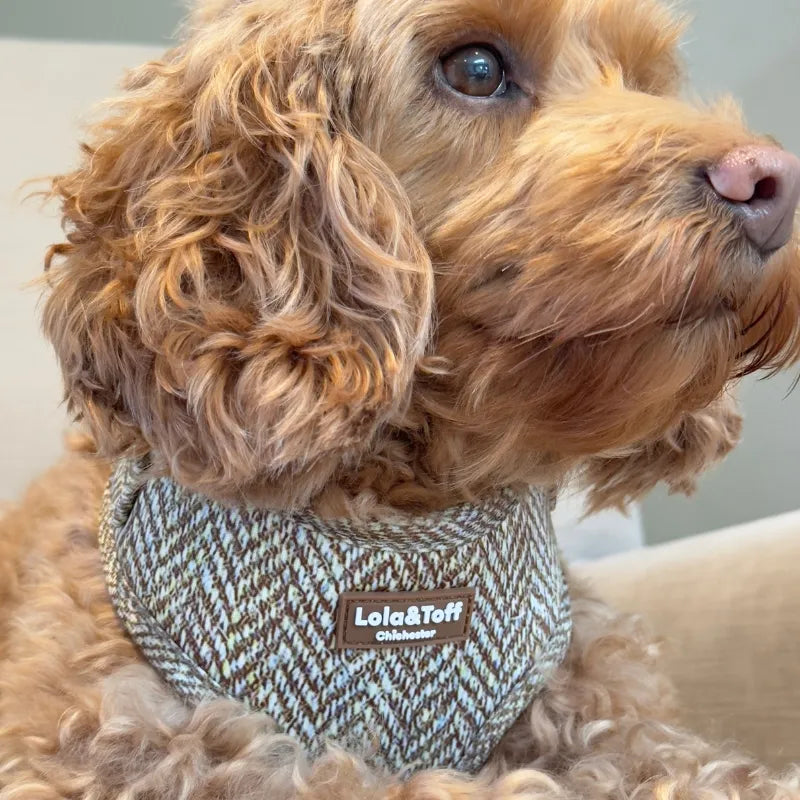 Oatmeal Tweed Effect Puppy & Tiny Dog Harness