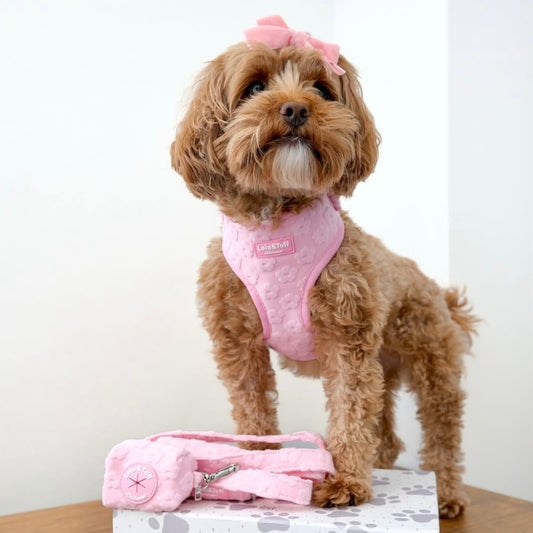 Lola&Toff Pink Daisy Bundle