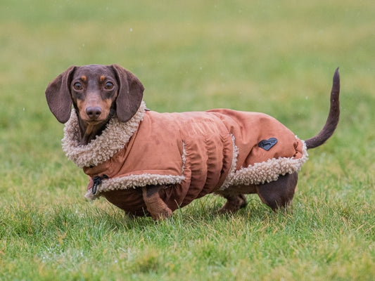 Beige Wraparound Coat